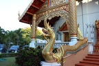 Chiang Mai 132